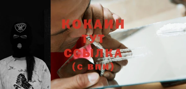 крисы Карпинск