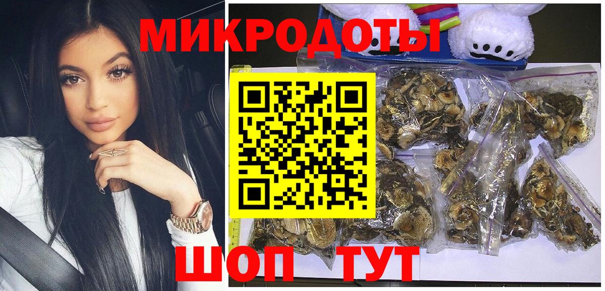 Галлюциногенные грибы Cubensis Ноябрьск