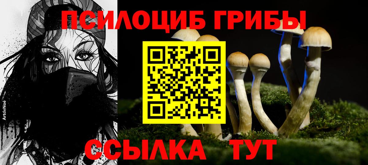 продажа наркотиков  Вход с VPN  Псилоцибиновые грибы мухоморы  Ноябрьск  Псилоцибиновые грибы Magic Shrooms 